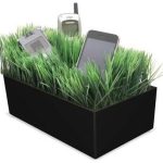 grassy-lawn-black